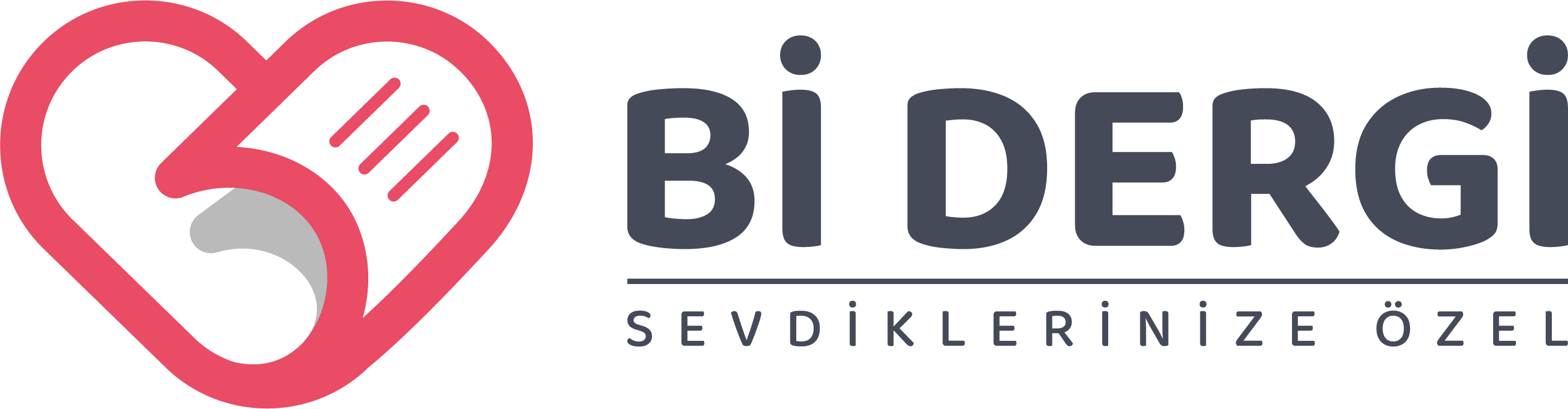 bidergi-logo